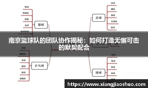 南京篮球队的团队协作揭秘：如何打造无懈可击的默契配合